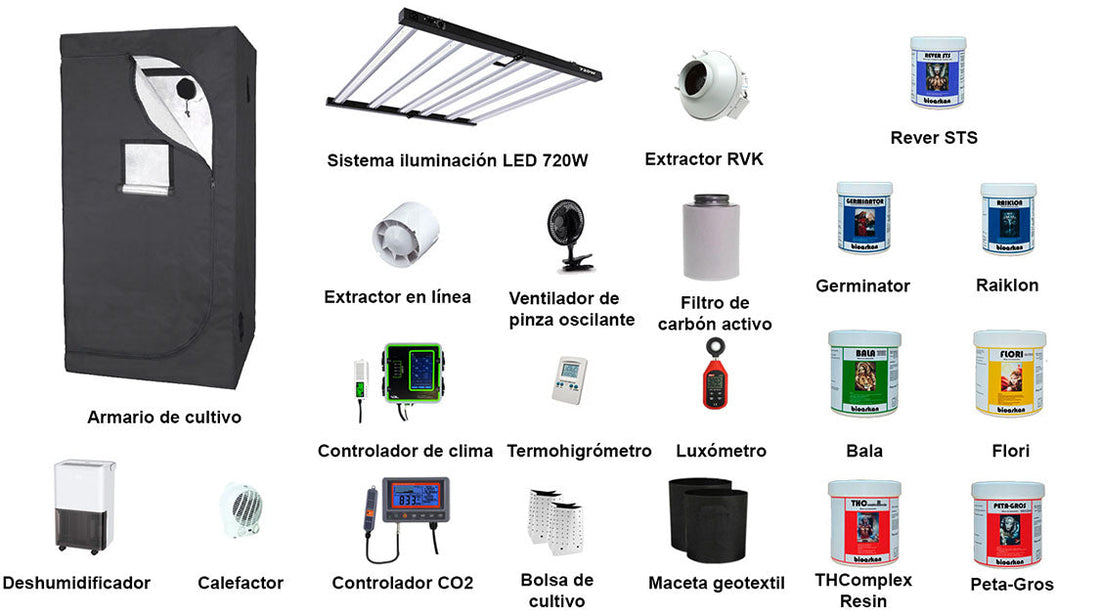 Cultivo de cannabis paso a paso