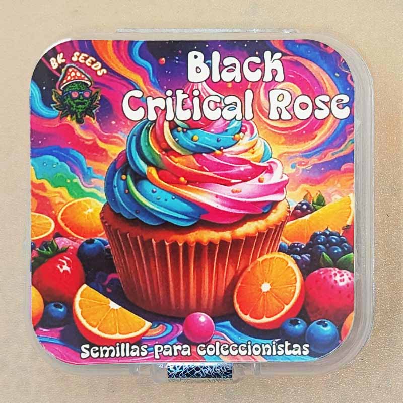 Black Critical Rose