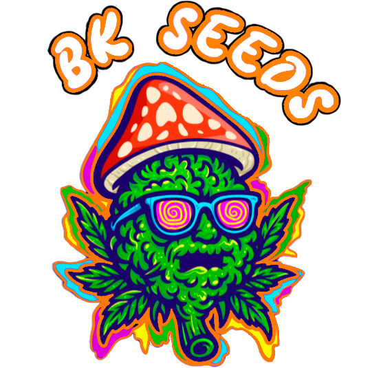 BF Seeds Cannabis