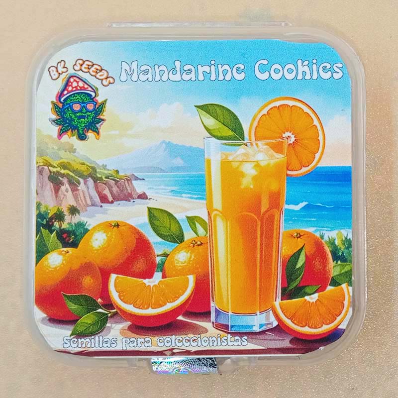 Mandarine Cookies
