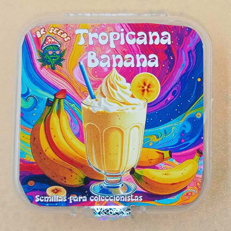 Tropicana Banana