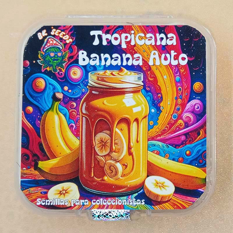 Tropicana Banana Auto