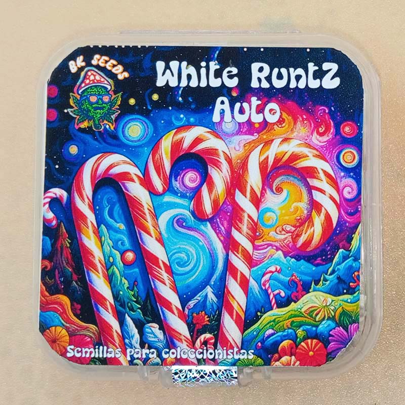 White Runtz Auto